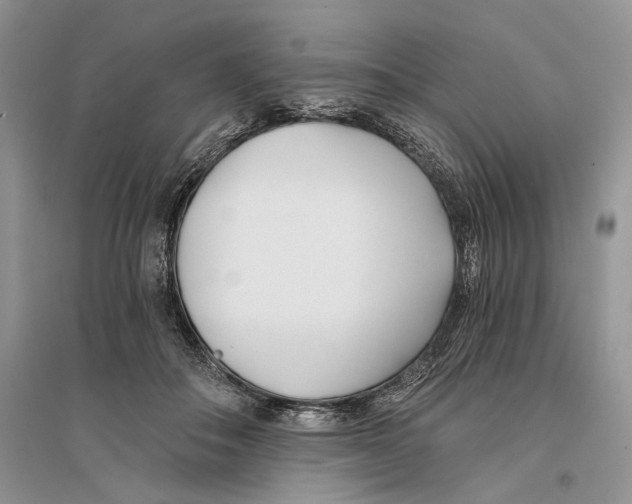 X0000096200506200802151528