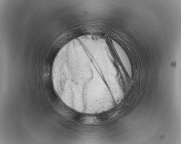 X0000096200507200802151528