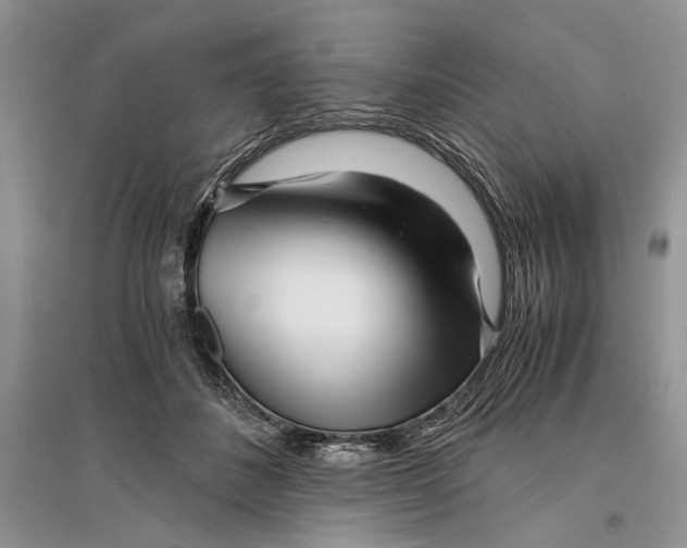 X0000096200508200802151528