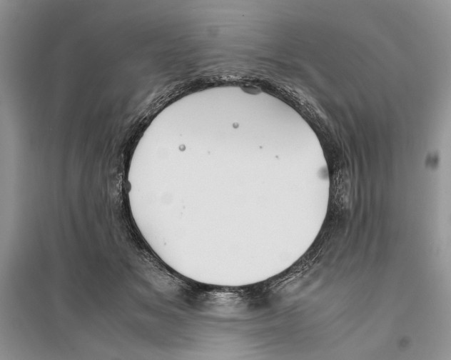 X0000096200509200802151528