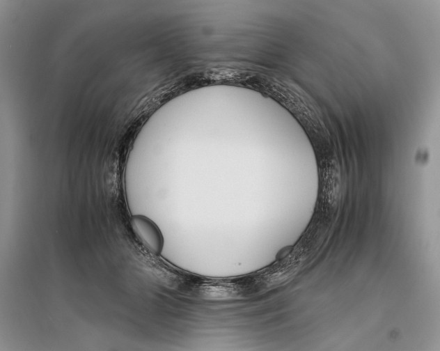 X0000096200510200802151528