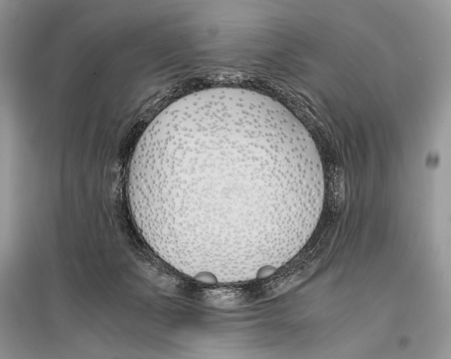 X0000096200511200802151528