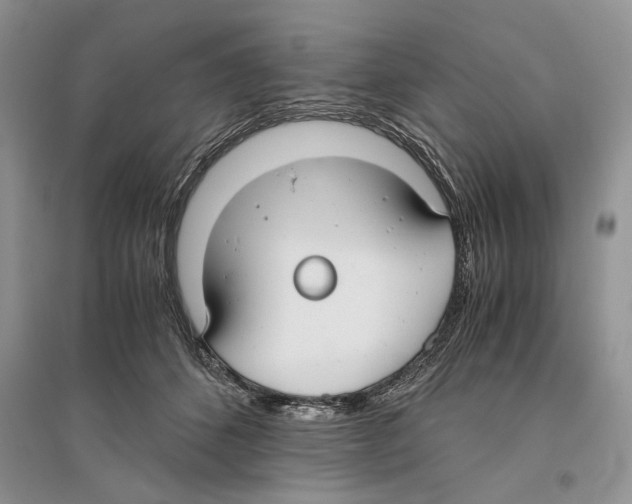 X0000096200512200802151528