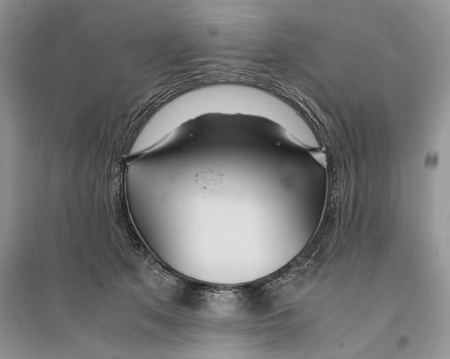 X0000096200513200802151528