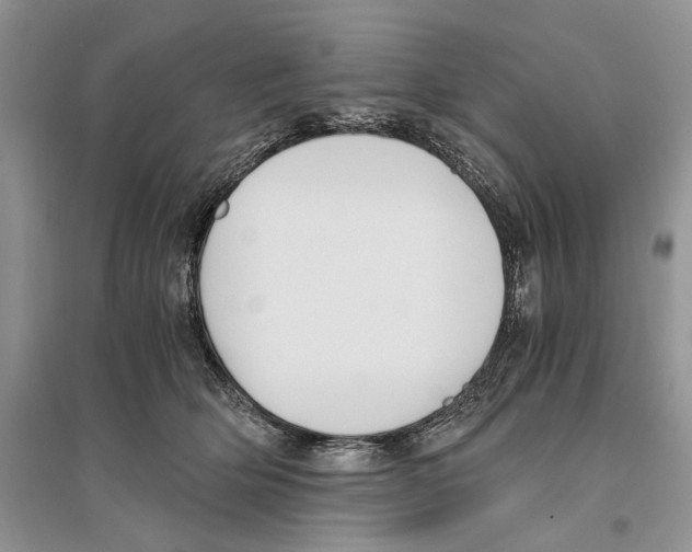 X0000096200514200802151528