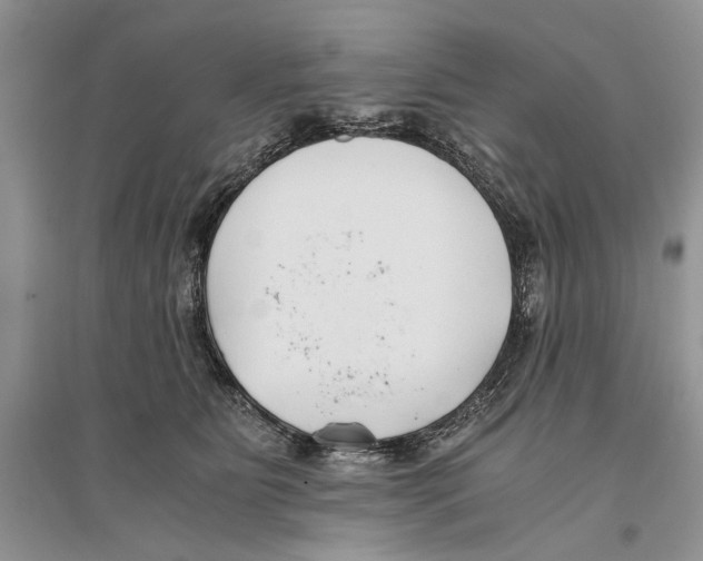 X0000096200515200802151528