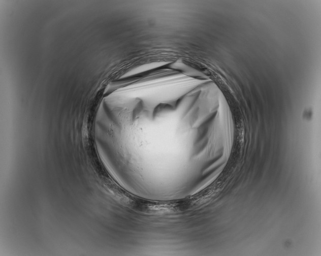 X0000096200516200802151528