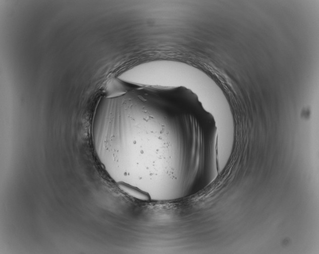 X0000096200517200802151528