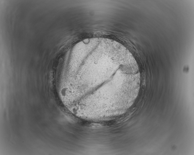 X0000096200519200802151528