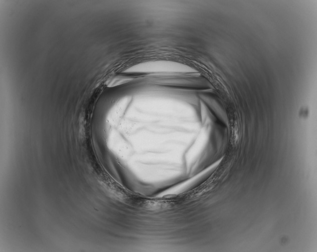 X0000096200520200802151528