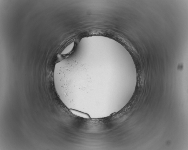 X0000096200521200802151528