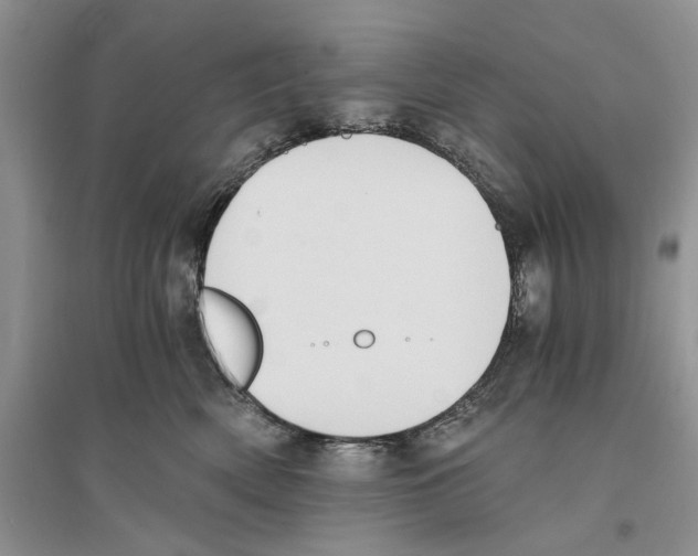 X0000096200522200802151528