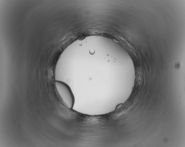 X0000096200523200802151528