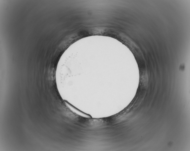 X0000096200525200802151528