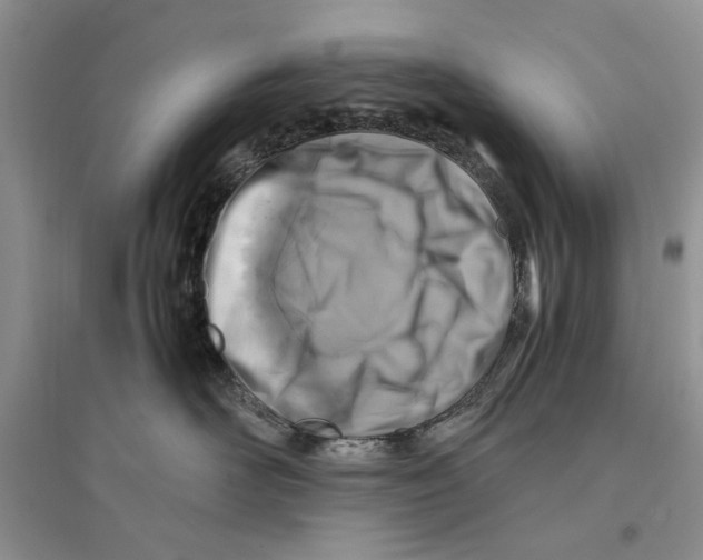 X0000096200526200802151528