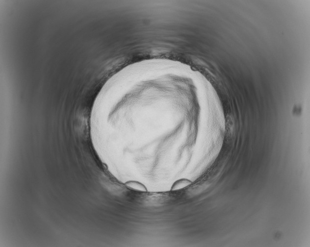 X0000096200527200802151528