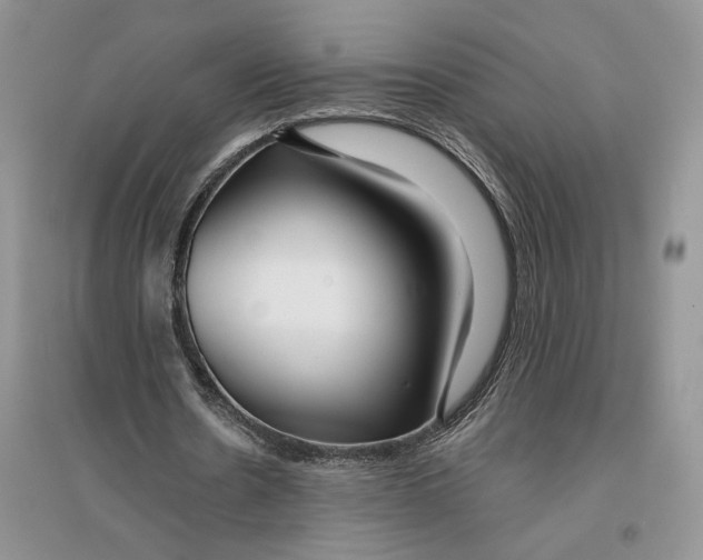 X0000096200530200802151528