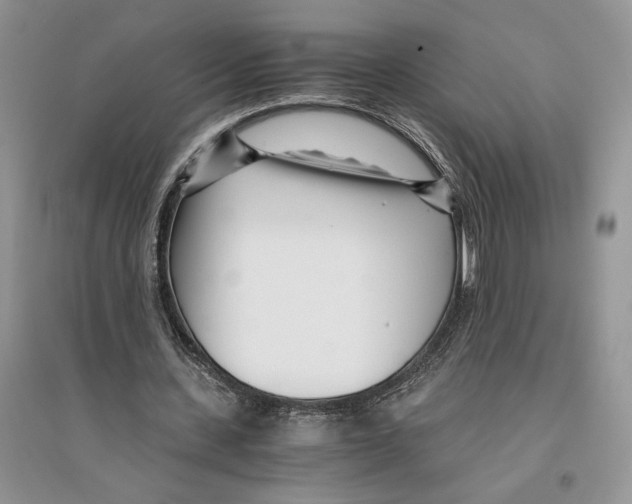 X0000096200531200802151528