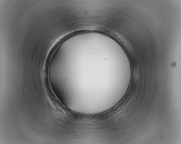 X0000096200532200802151528