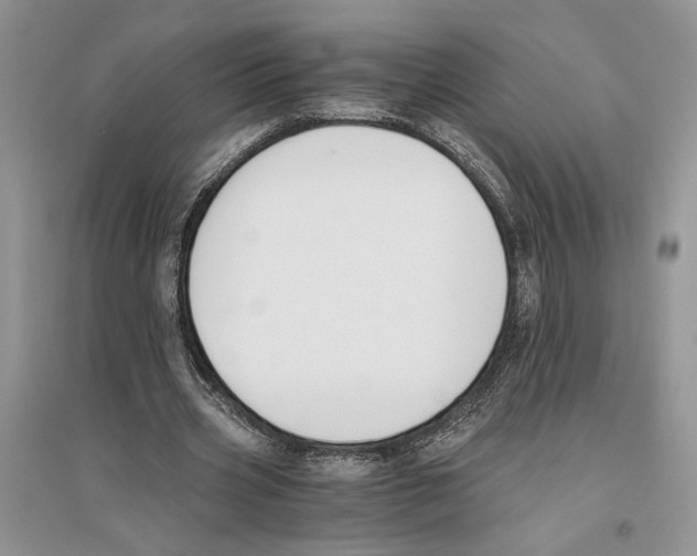 X0000096200533200802151528