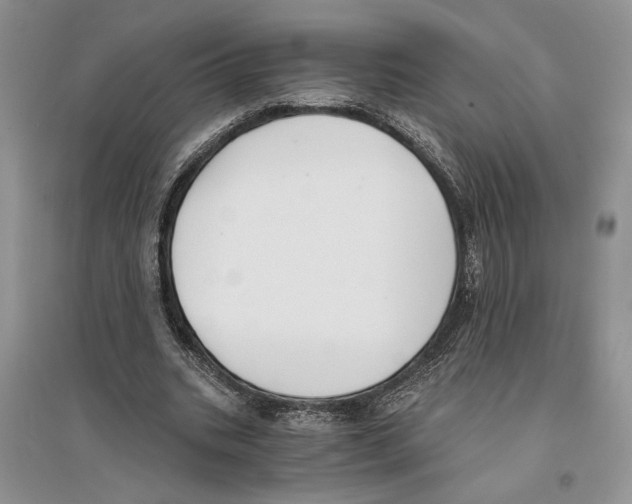 X0000096200535200802151528