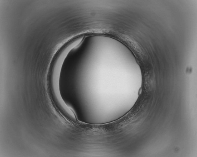 X0000096200536200802151528