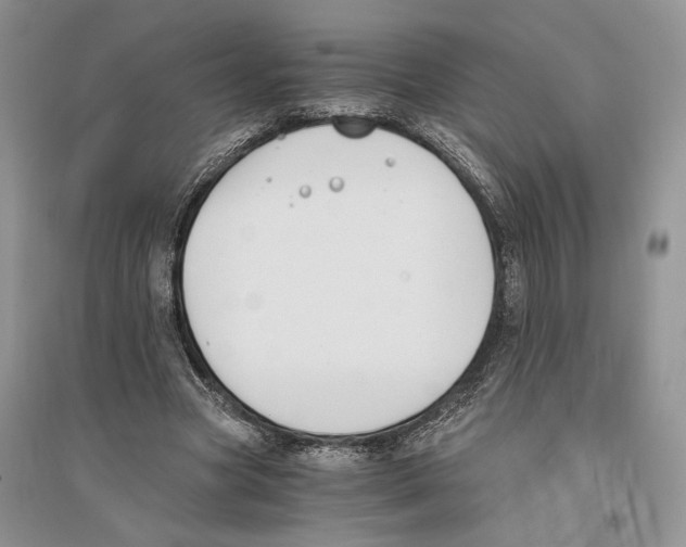 X0000096200537200802151528