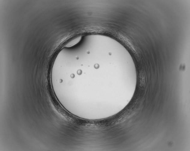 X0000096200538200802151528