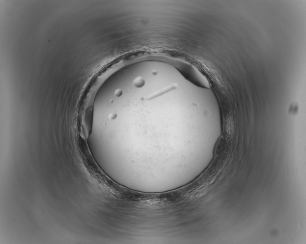 X0000096200540200802151528