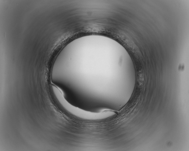 X0000096200544200802151528