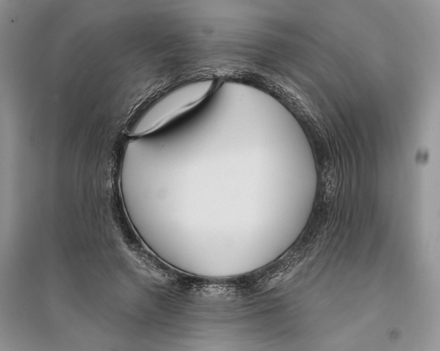 X0000096200546200802151528