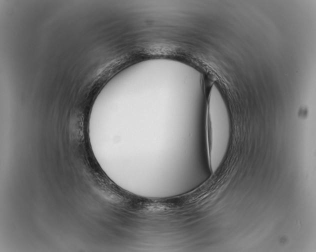 X0000096200547200802151528