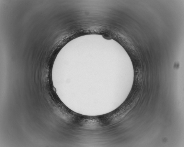 X0000096200548200802151528