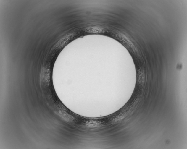 X0000096200549200802151528