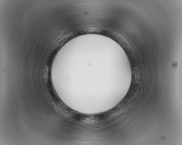 X0000096200550200802151528