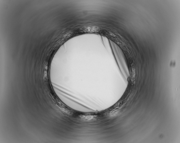 X0000096200553200802151528