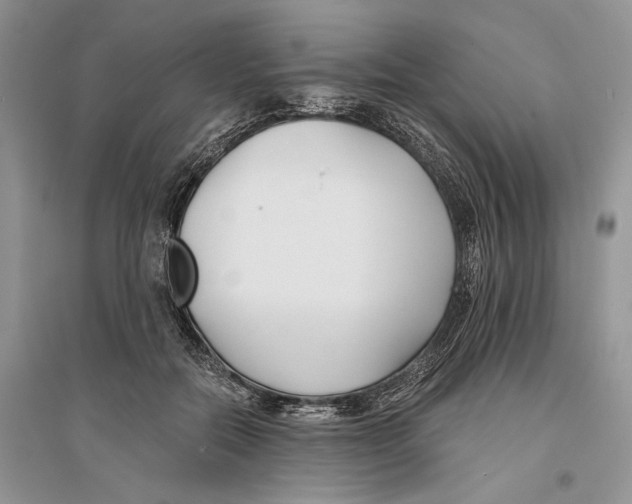 X0000096200554200802151528