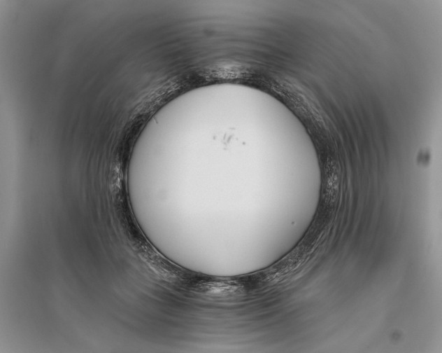 X0000096200555200802151528