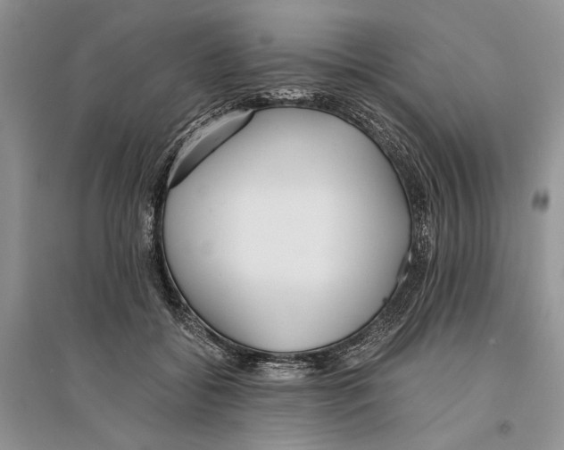 X0000096200556200802151528