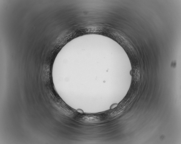 X0000096200557200802151528