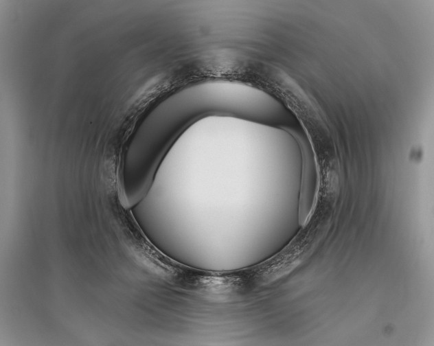 X0000096200558200802151528