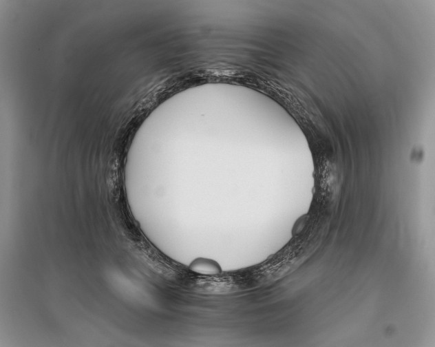 X0000096200559200802151528