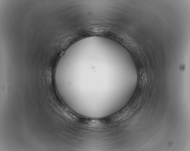 X0000096200562200802151528