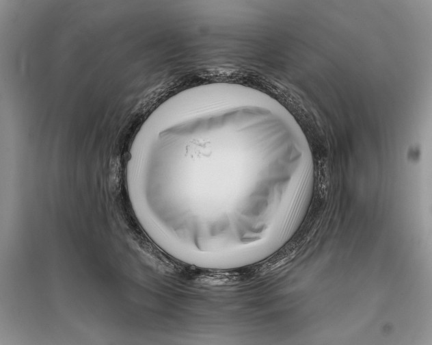 X0000096200563200802151528