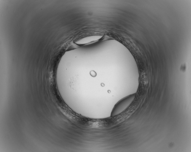 X0000096200564200802151528