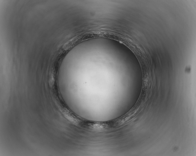 X0000096200566200802151528