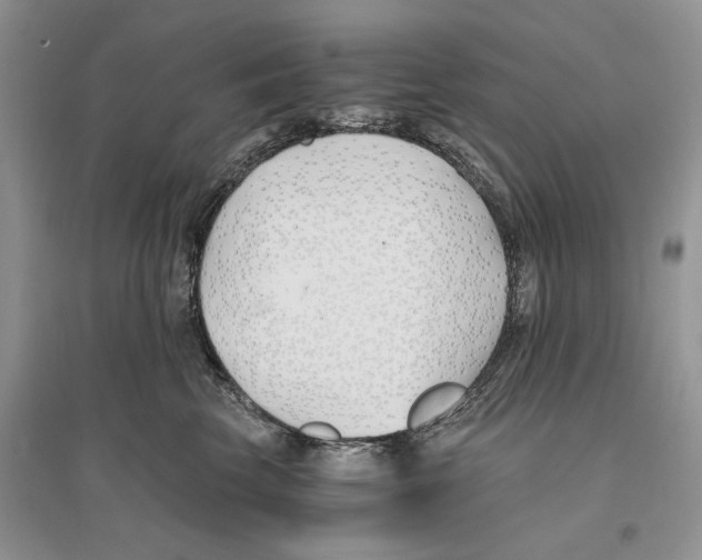 X0000096200569200802151528