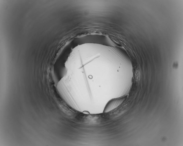 X0000096200570200802151528