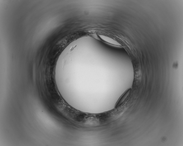 X0000096200572200802151528