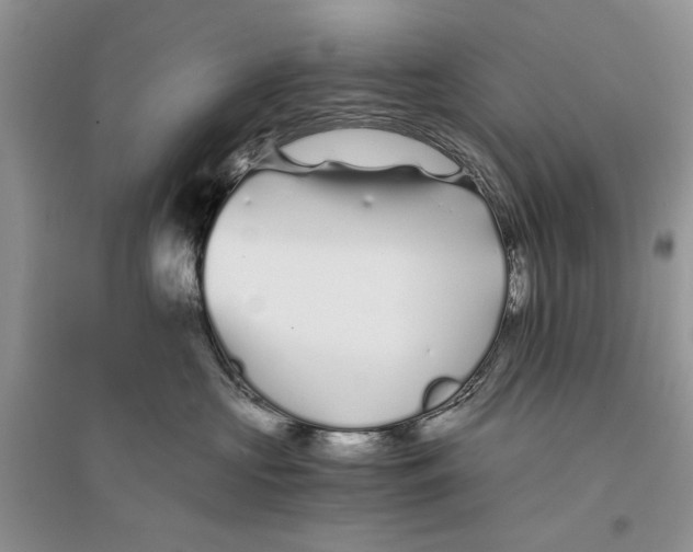 X0000096200573200802151528